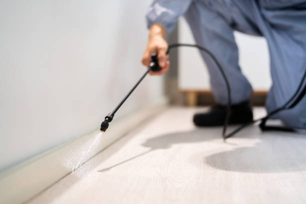 Licensed Termite Control service in Summerfield, NC - Nex Pest Control