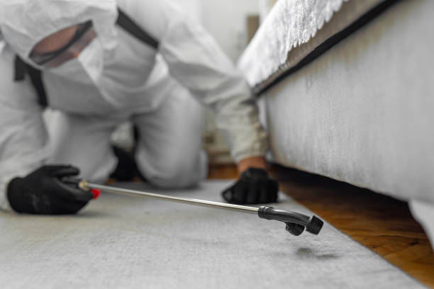 Professional Termite Control technician working in Summerfield, NC