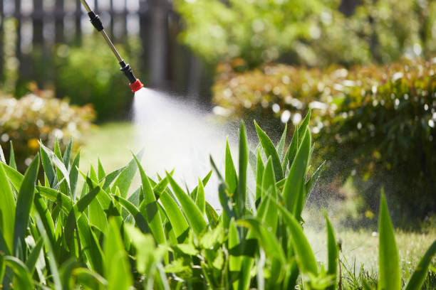 24/7 Emergency Termite Control experts in Summerfield, NC