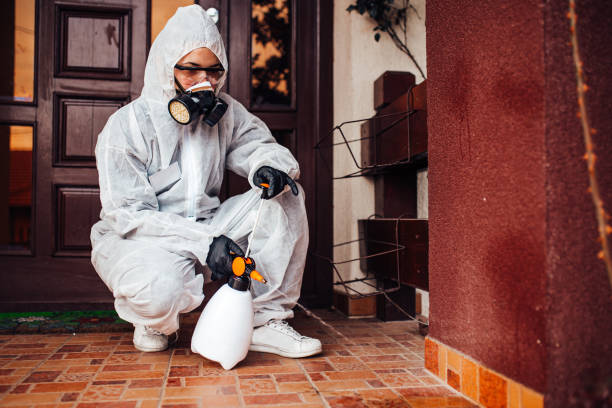 Reliable Termite Control contractor in Summerfield, NC by Nex Pest Control