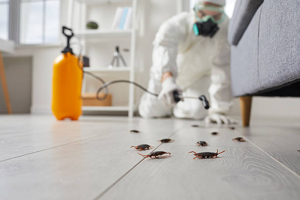 Affordable Termite Control solutions in Summerfield, NC